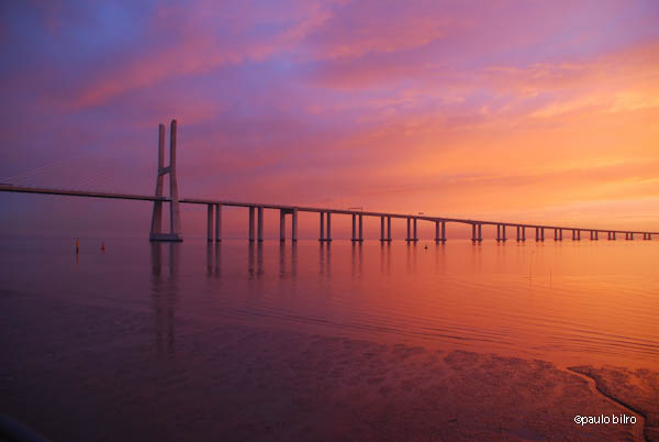 Ponte Vasco da Gama