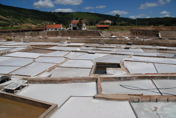 Rio Maior